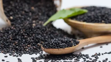 فوائد واضرار حبة البركة